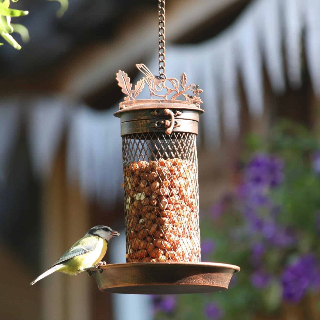 Gifting Guides - Bird Feeders