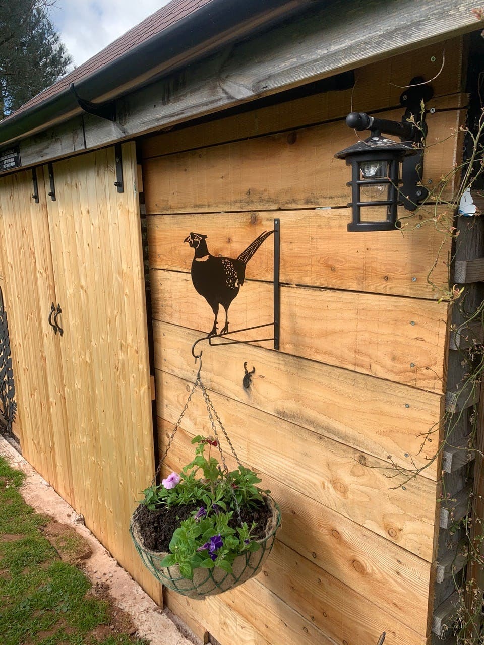 A rustic metal pheasant wall decor piece mounted on a wooden shed wall, with a hanging wire planter containing green plants and purple flowers suspended below it.