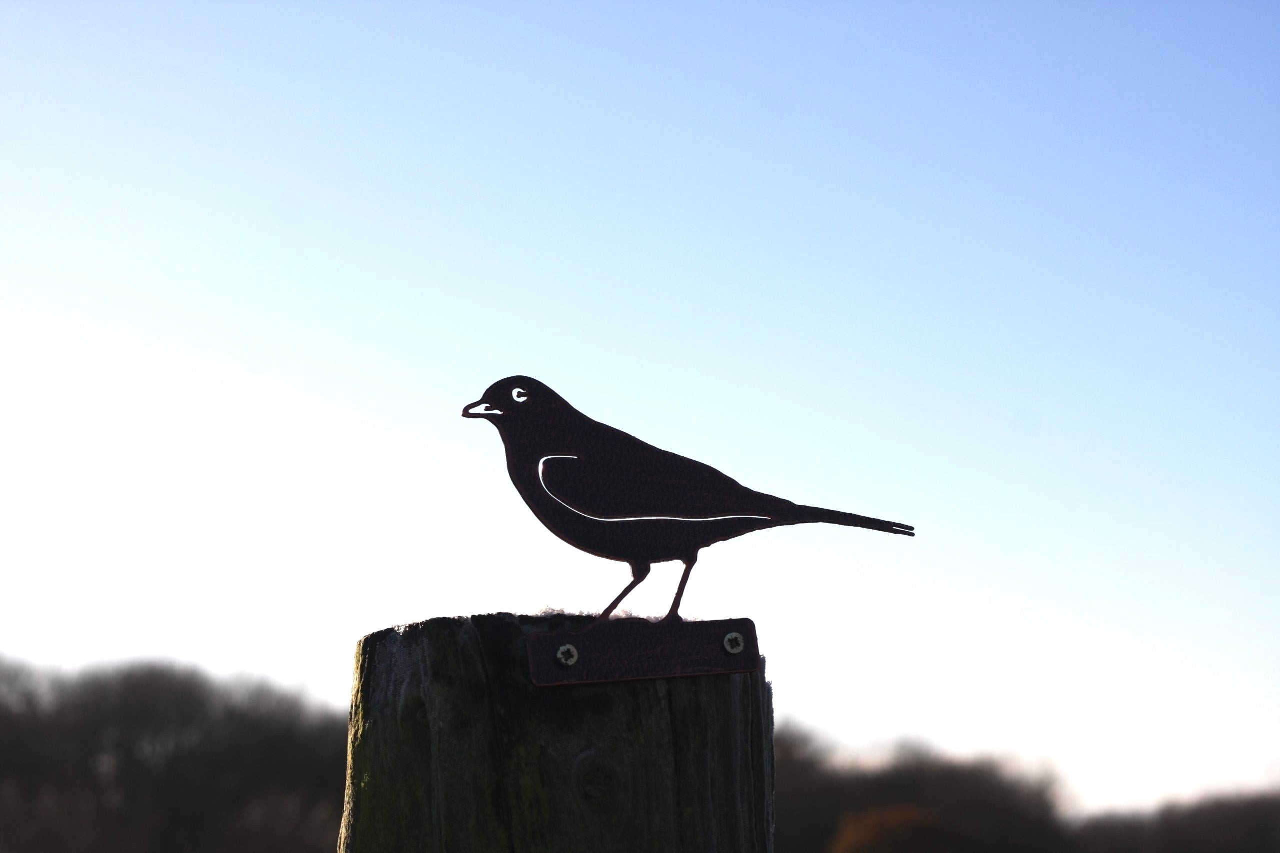 A black metal bird silhouette sculpture perched on a wooden post against a clear blue sky.