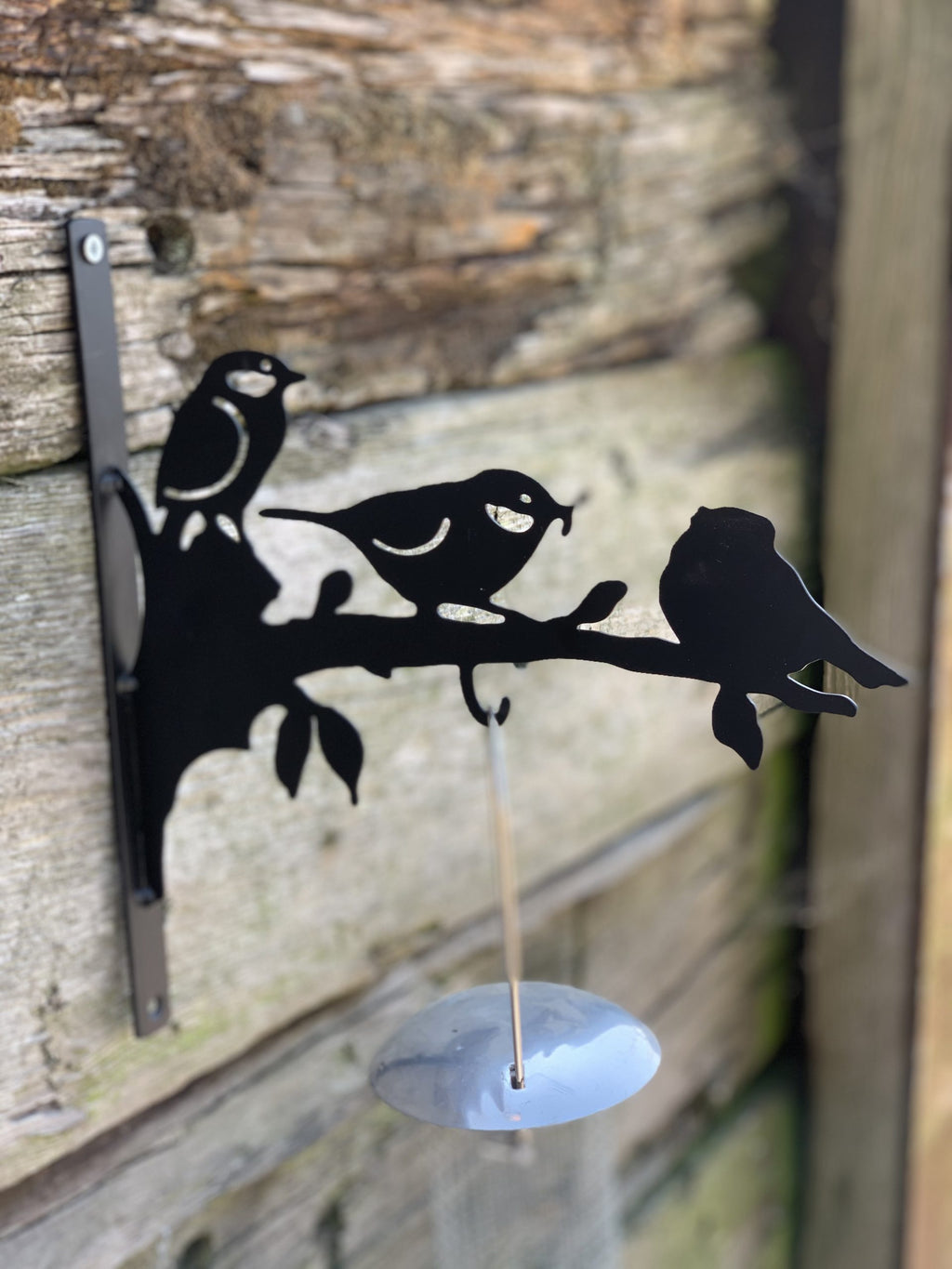 Black metal bird feeder wall mount featuring three silhouetted birds perched on a branch, with a hanging silver bowl below, shown against a rustic wooden wall.