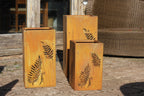 Fine Fern Corten Steel Planters | Set of 3