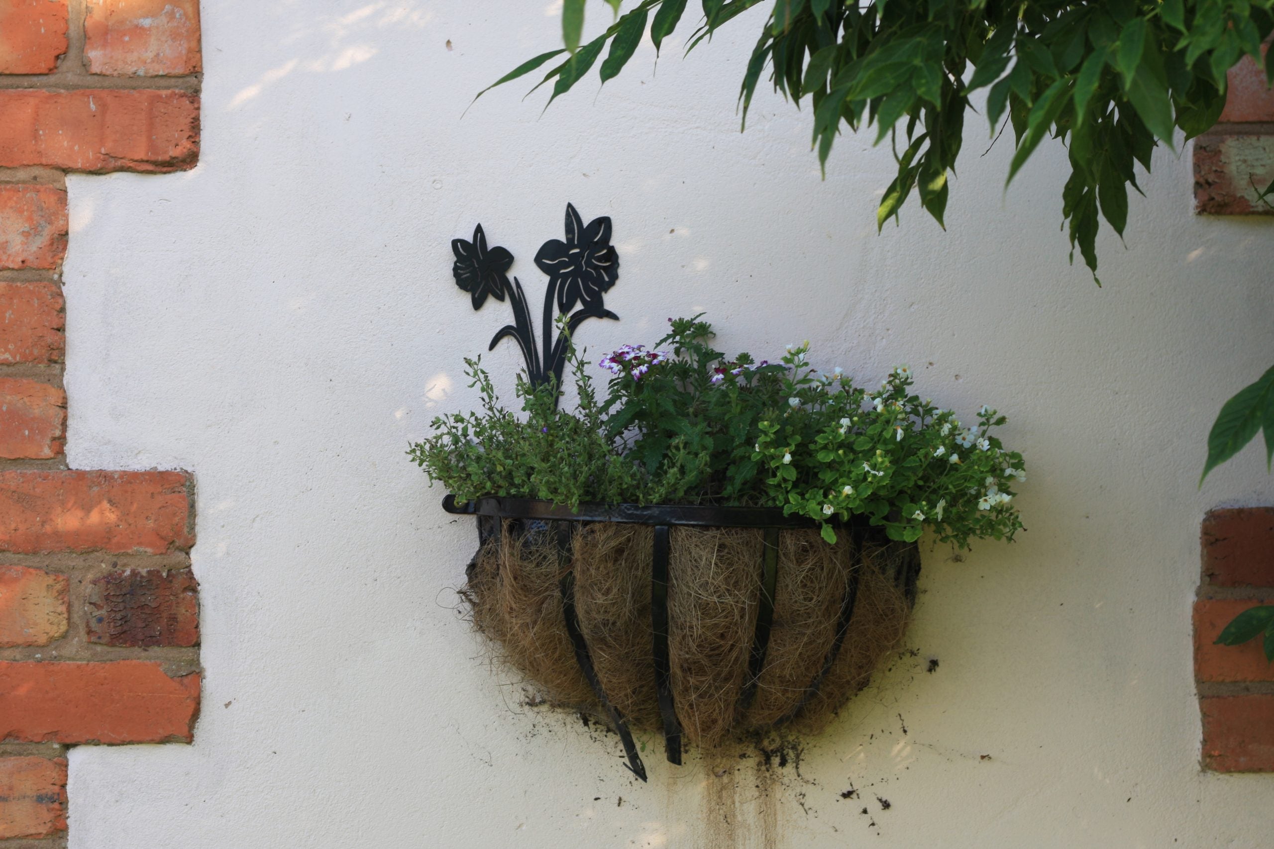 A rustic half-hoop coconut fiber hanging planter with a black metal flower accent, filled with green and purple flowers, mounted on a white stucco wall with red brick corners.