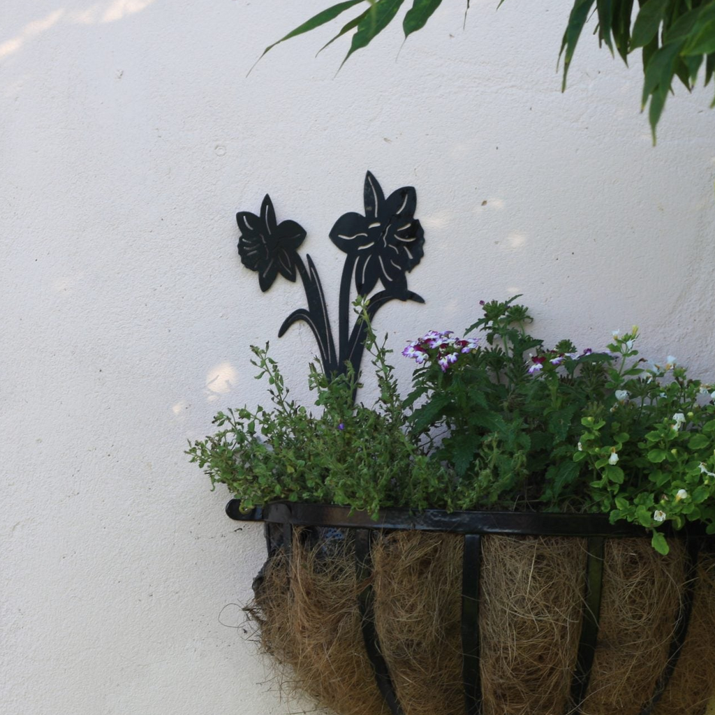 Black metal wall-mounted planter with daisy cutout design, holding green plants and small purple flowers in a hanging basket with coir fill, mounted on a white textured wall.