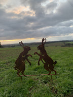 Two rusted metal rabbit garden sculptures standing on a grassy field under a cloudy sky at sunset.