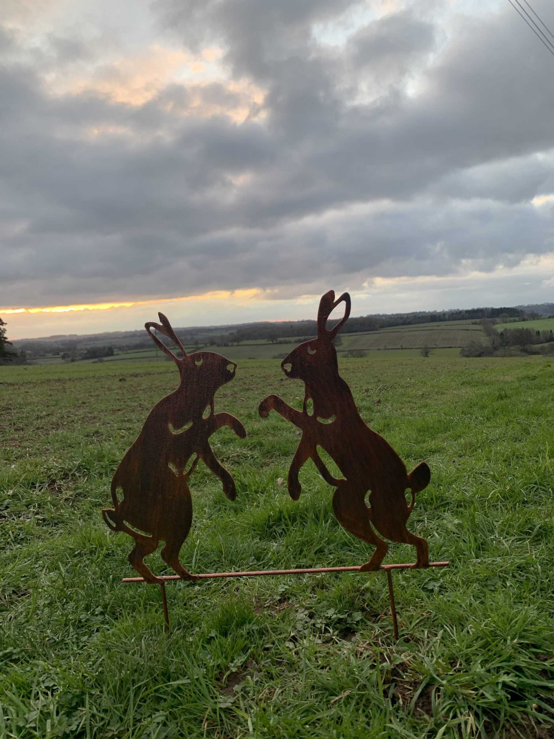Two rusted metal rabbit garden sculptures standing on a grassy field under a cloudy sky at sunset.