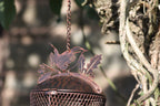 A rustic metal bird feeder hanging from a chain outdoors, featuring a wire mesh body and a decorative metal top shaped like leaves and a bird, shown against a blurred natural background.
