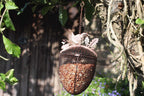 A hanging bird feeder made from a metal mesh egg-shaped container filled with seeds, suspended by a chain in a garden setting with tree branches and leaves.