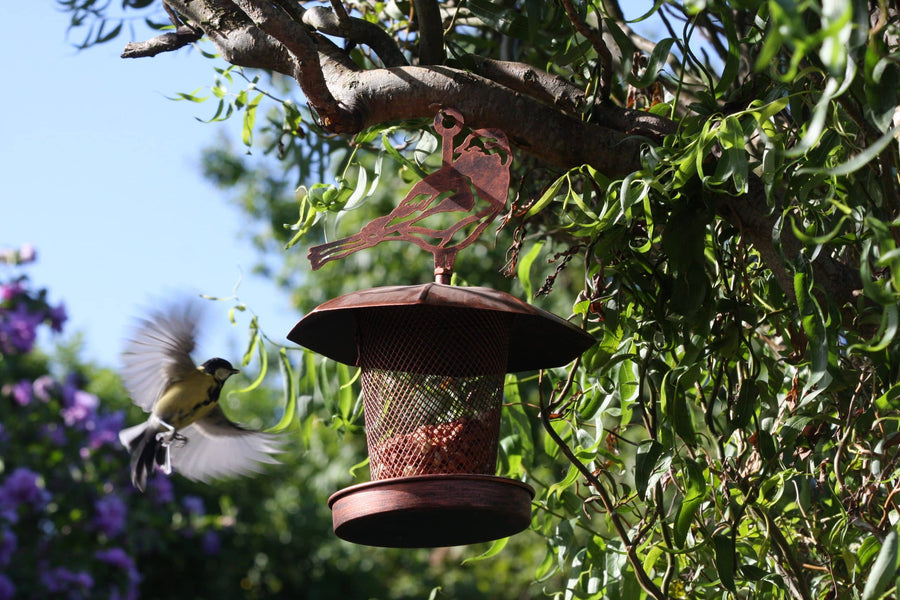 Birds visiting a Ferra and Field feeder