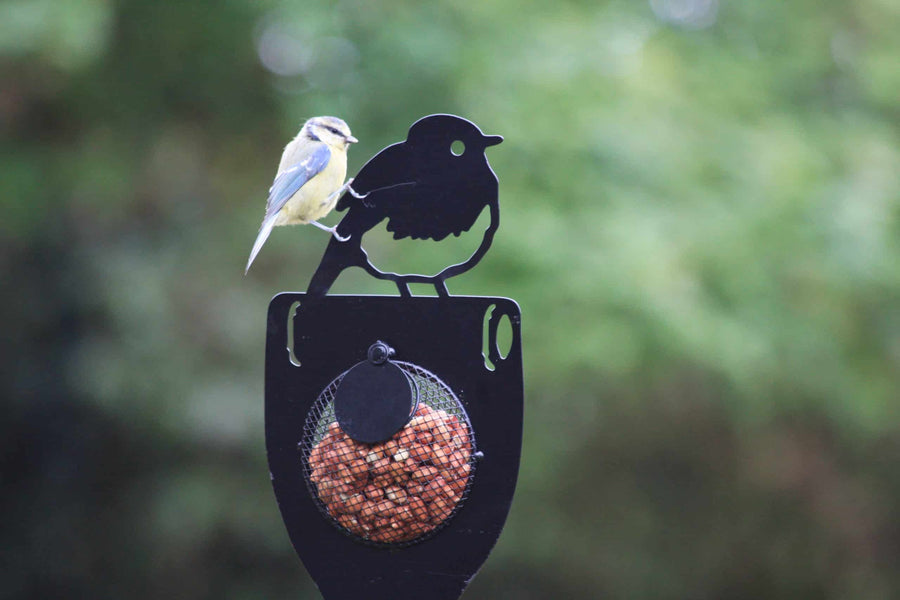 Ferra and Field bird feeder in a garden
