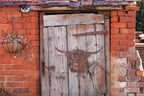 Highland Cow Metal Wall Art Copper