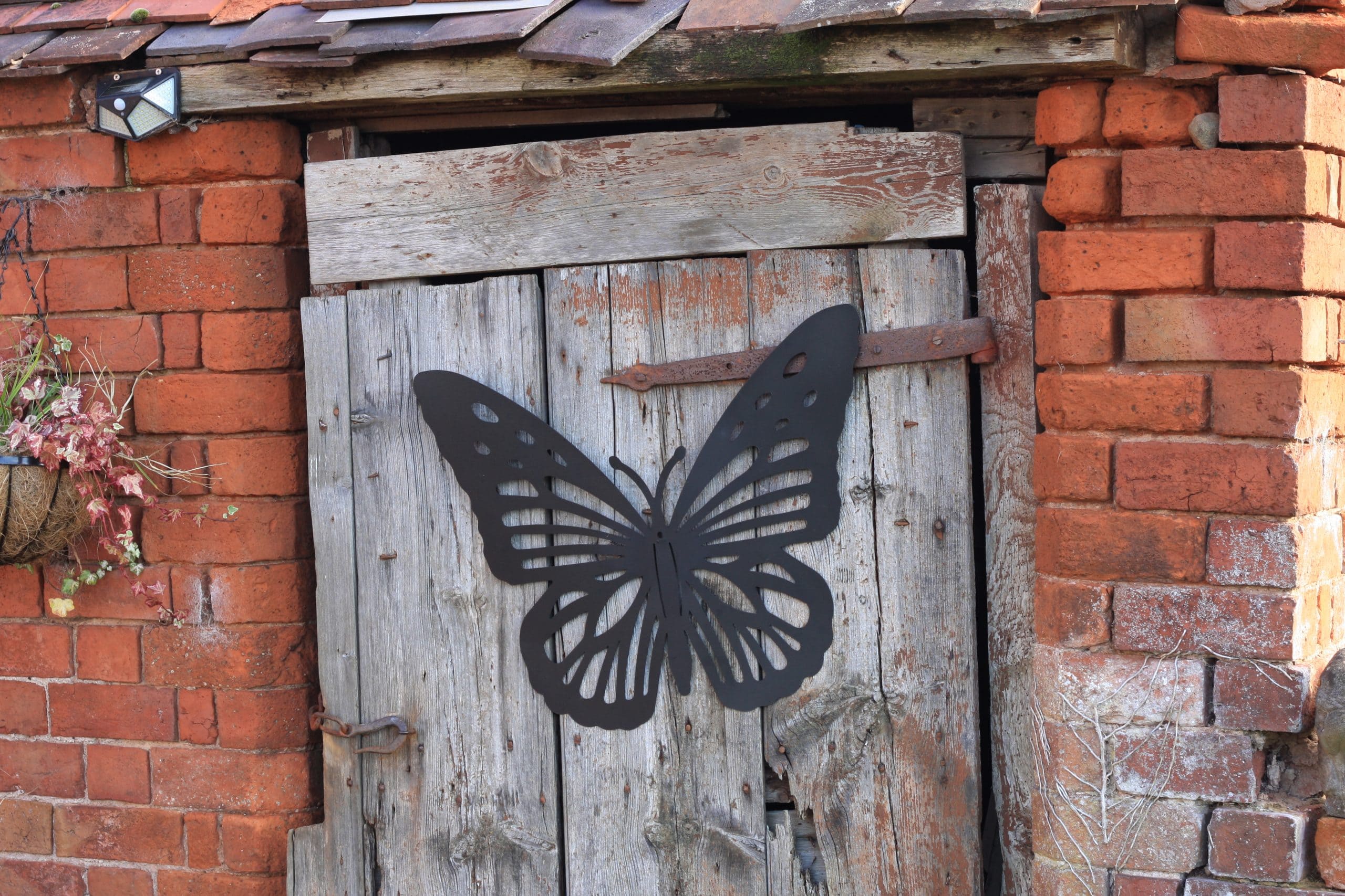 Butterfly Steel Wall Art Black | 60 x 50cm