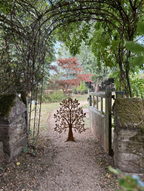 Corten Steel Olive Tree Garden Sculpture