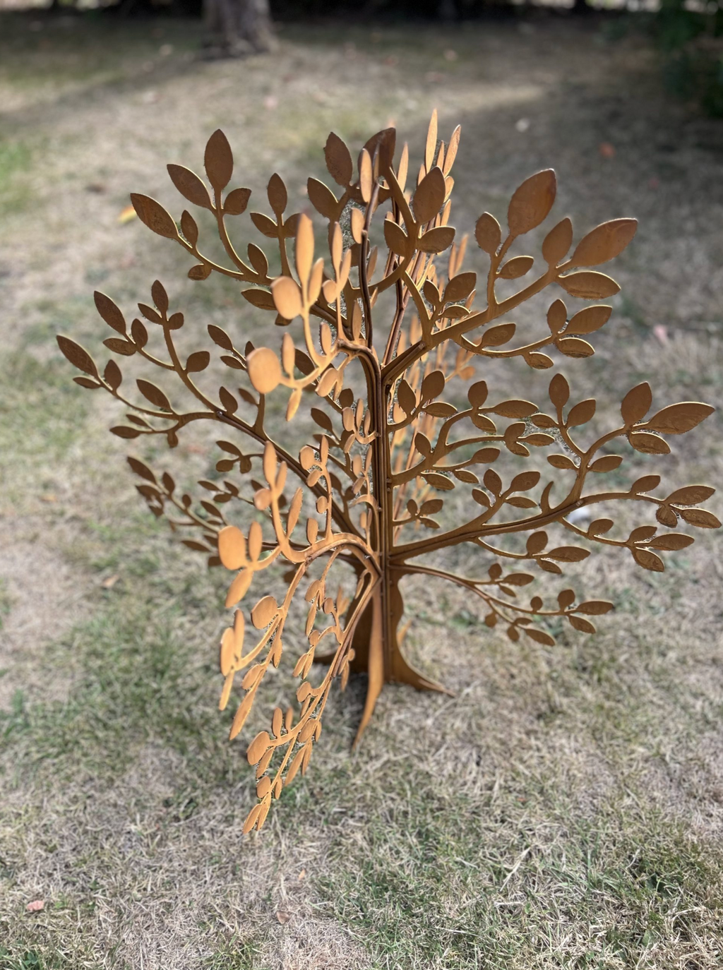 Corten Steel Olive Tree Garden Sculpture