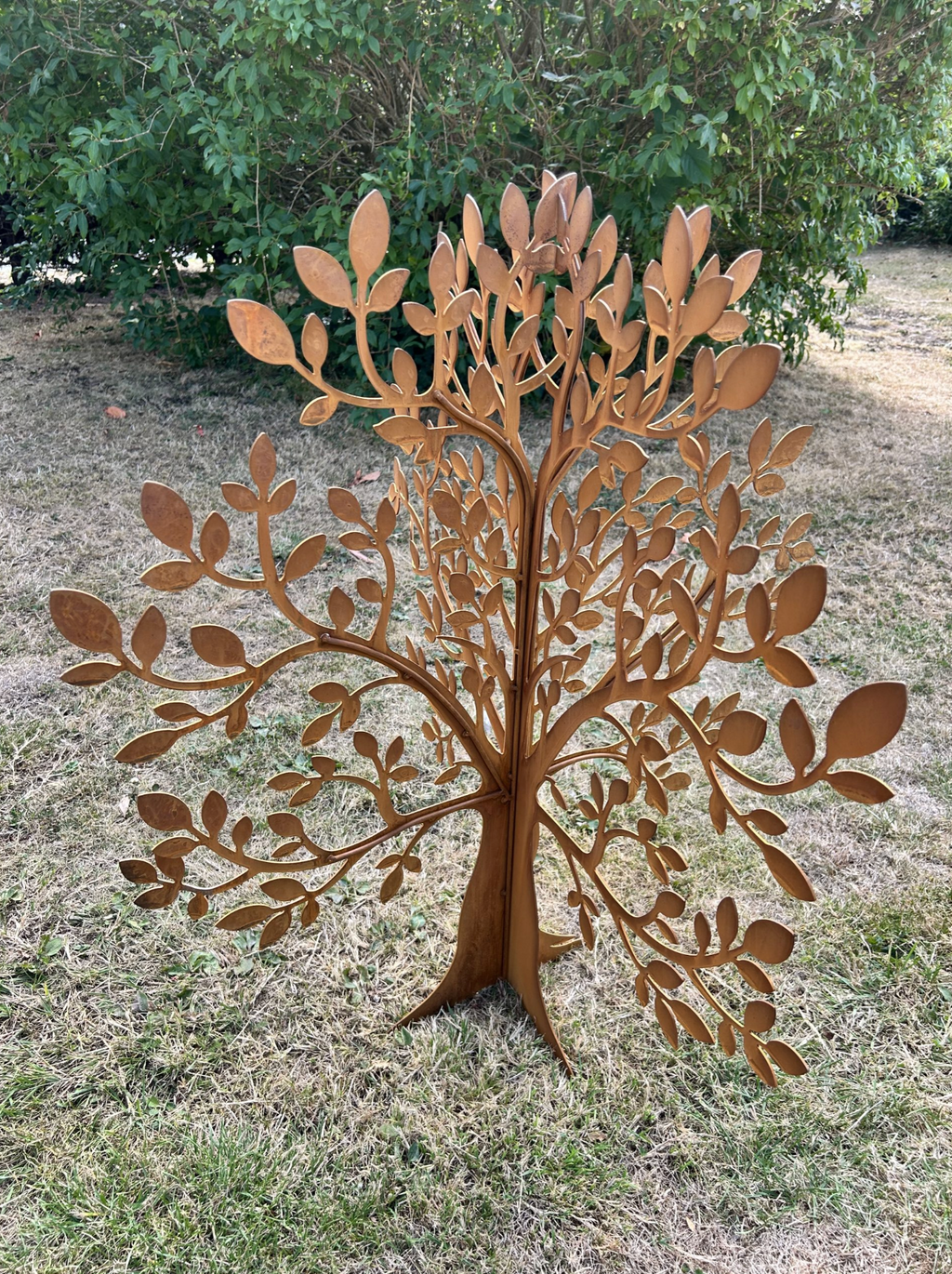 Corten Steel Olive Tree Garden Sculpture