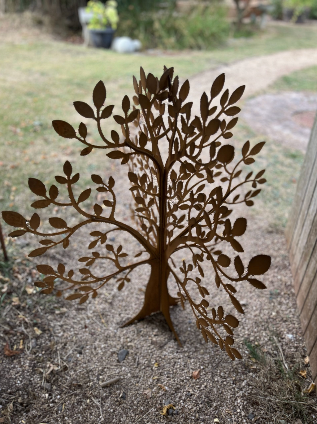 Corten Steel Olive Tree Garden Sculpture