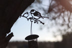 A black metal bird feeder and perch silhouette featuring two birds perched on a branch, shown outdoors against a blurred tree trunk and sky background.