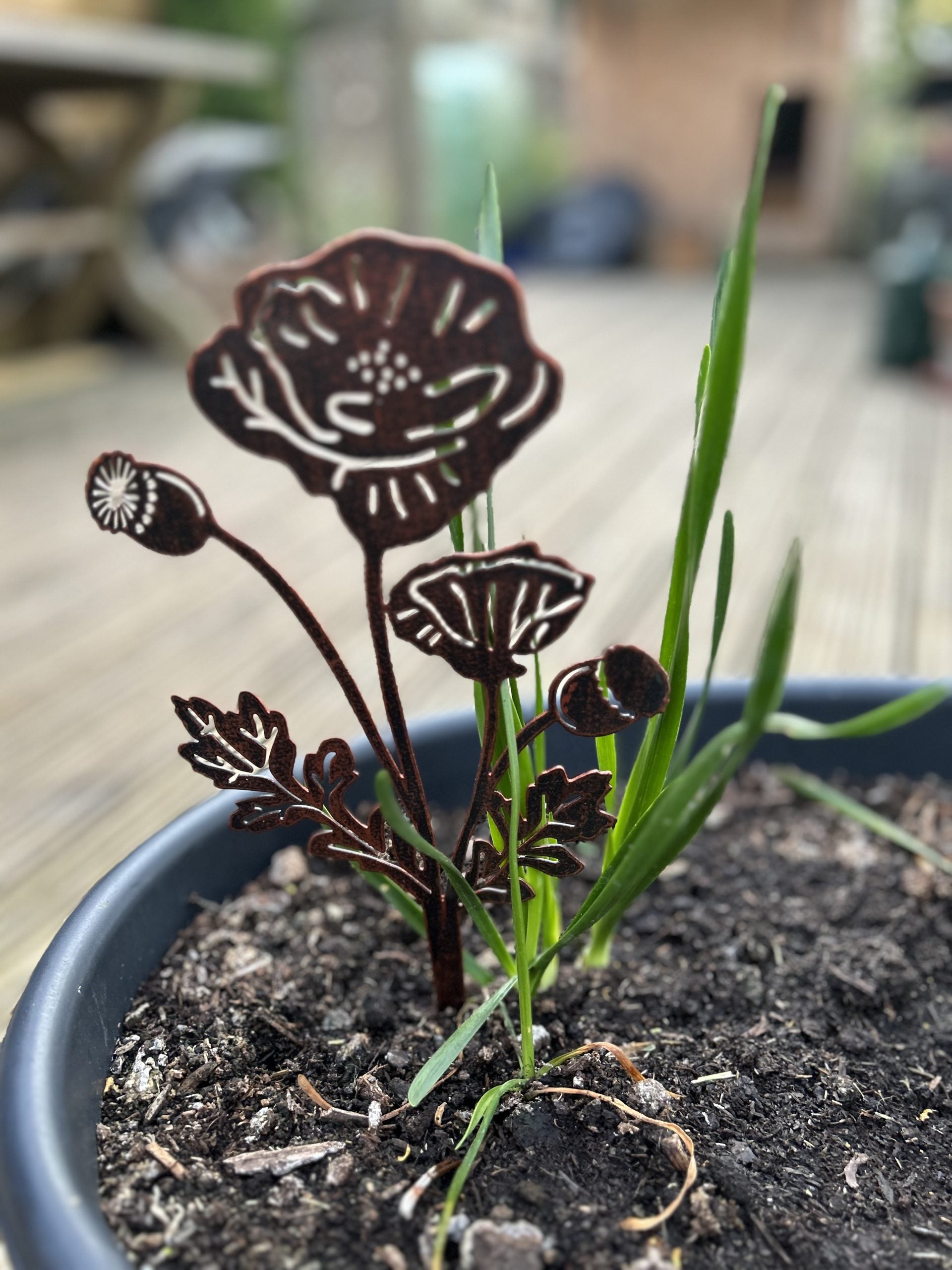 Metal Poppy Plant Support & Marker | Steel Garden Stake