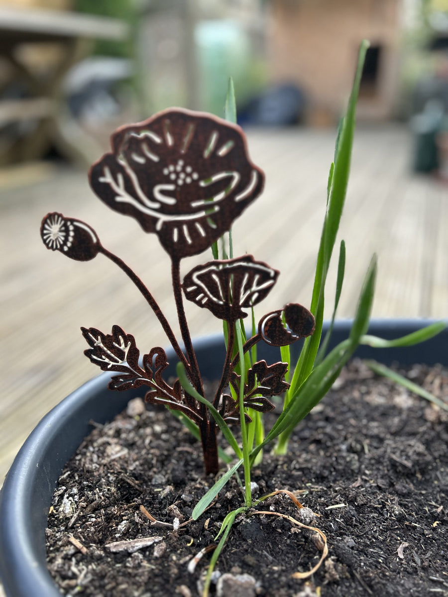 In a customer's garden