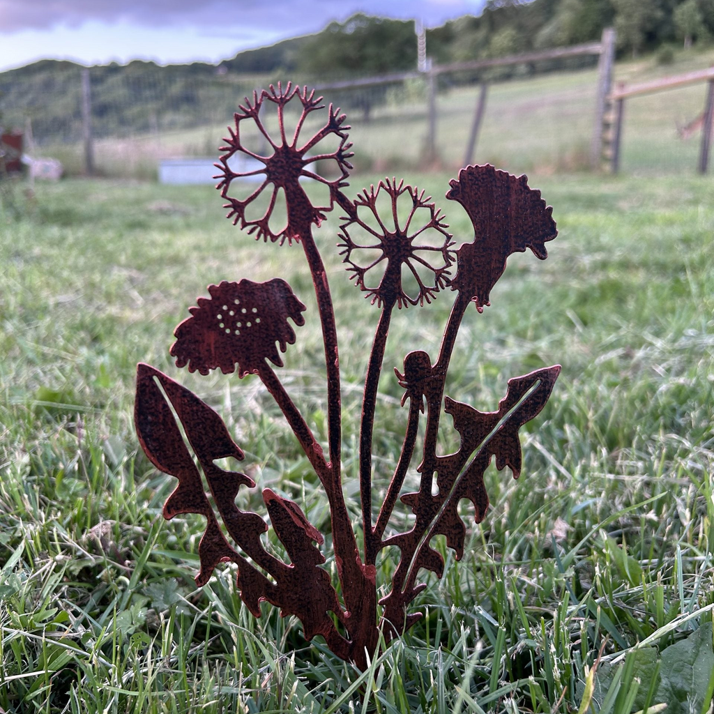 dandelion plant helper in garden with sky in background