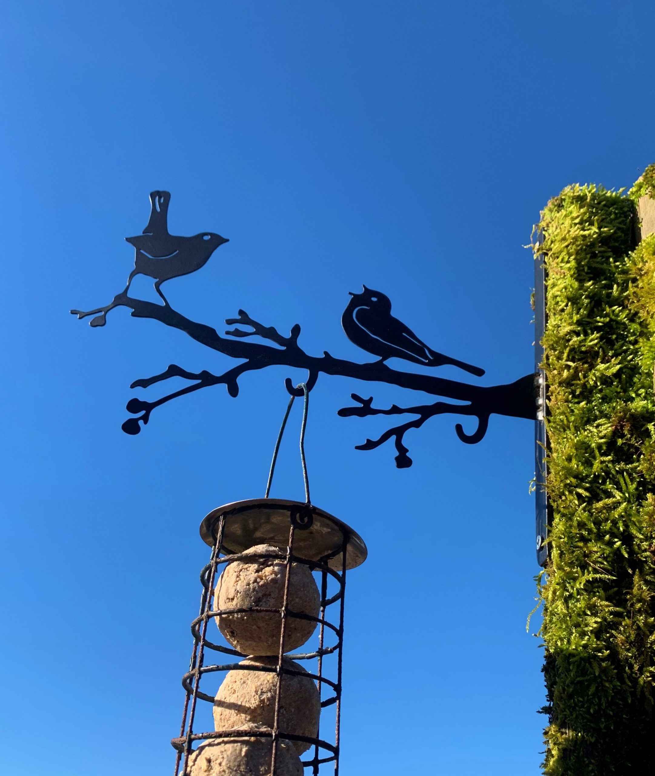 Black metal bird feeder and perch mounted on a branch, with two birds silhouetted against a clear blue sky. A stone bird bath hangs below the feeder, and a moss-covered wall is visible on the right.