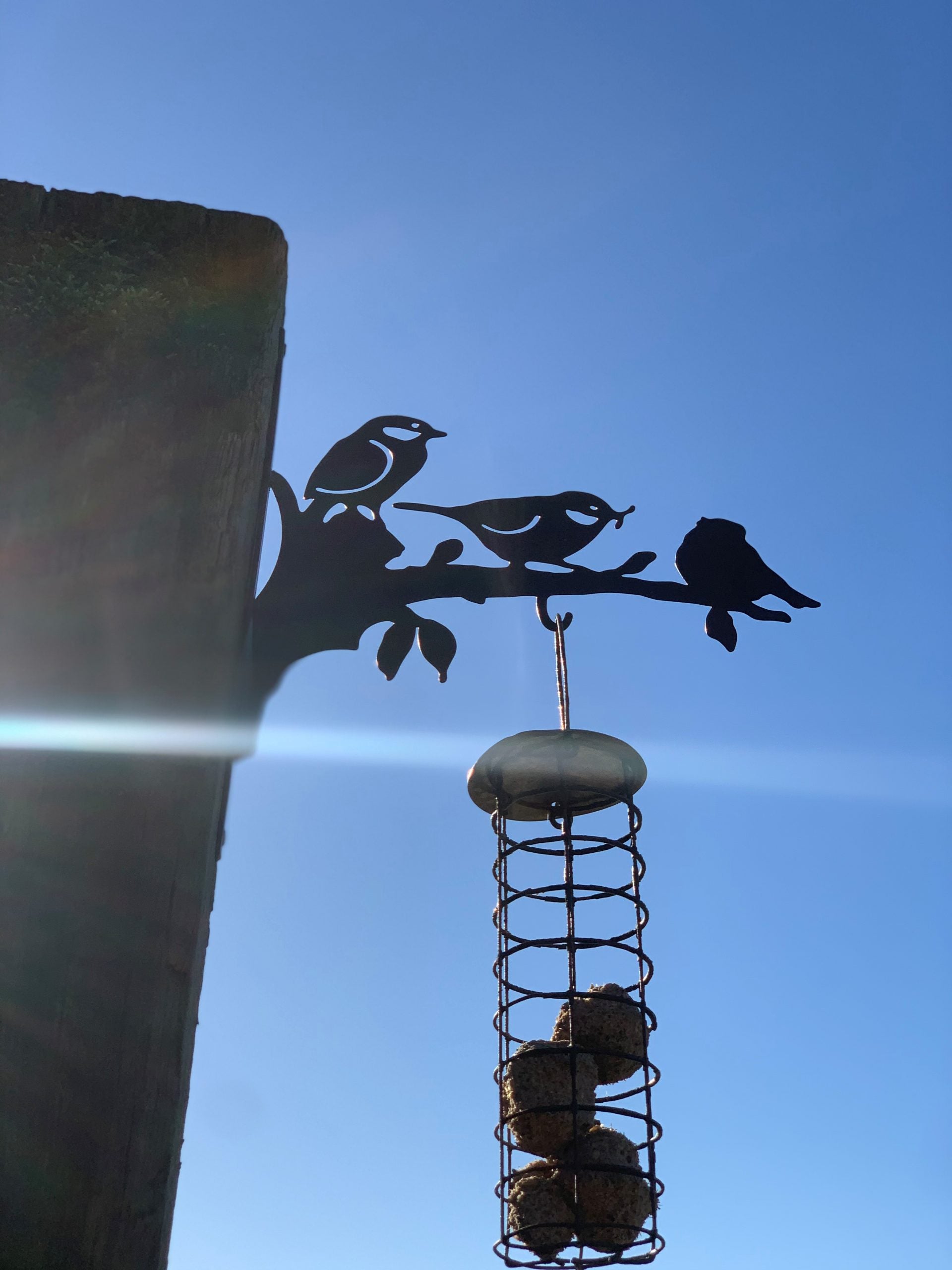 A black metal bird feeder mounted on a tree branch, featuring silhouettes of three birds perched on the branch above a hanging seed basket, photographed against a clear blue sky.